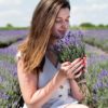 Campo de lavanda