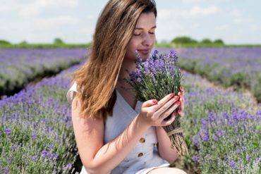 Campo de lavanda